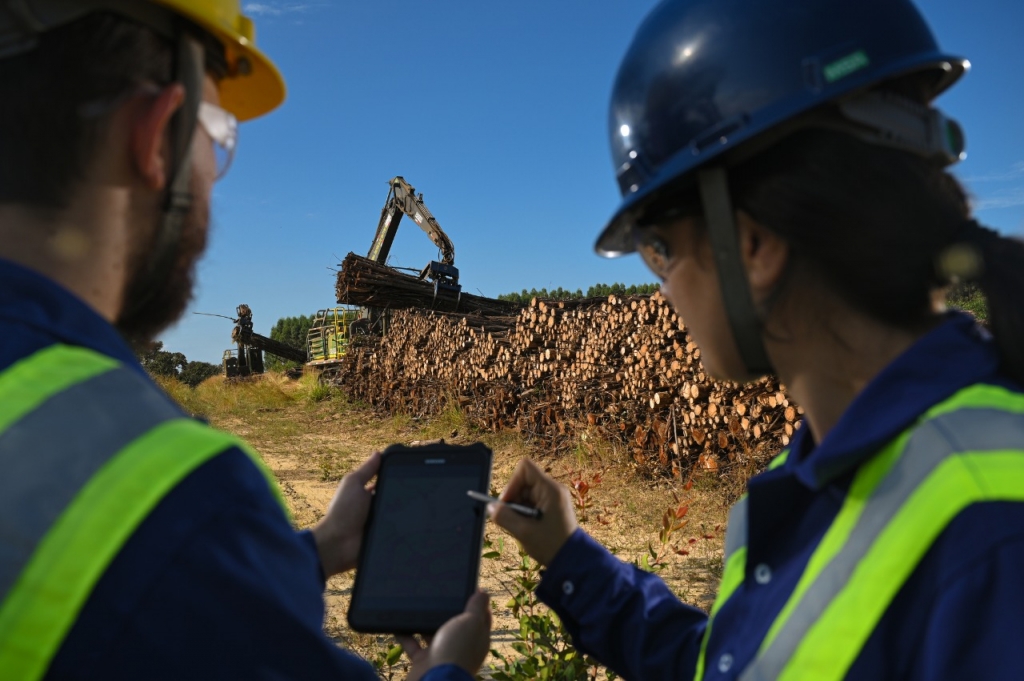 Gerdau apresenta evolução em avaliação do CDP