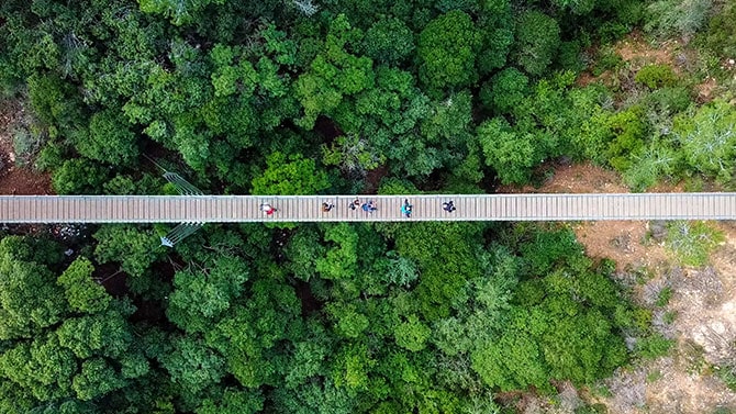 Pesquisa aponta otimismo para os mercados de carbono na próxima década